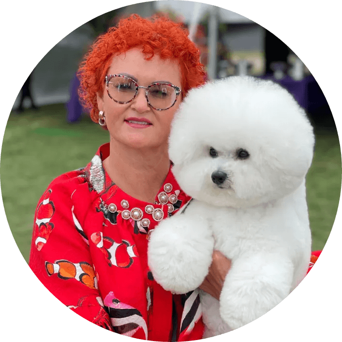 Bichon frise online tear stain remover