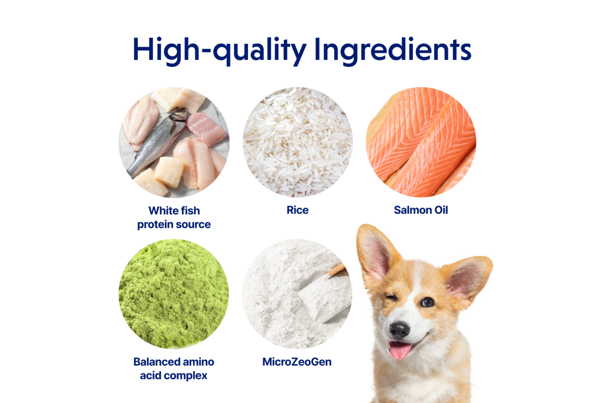 Junior Dogs Food for Light Coat All Breeds with White Fish & Rice