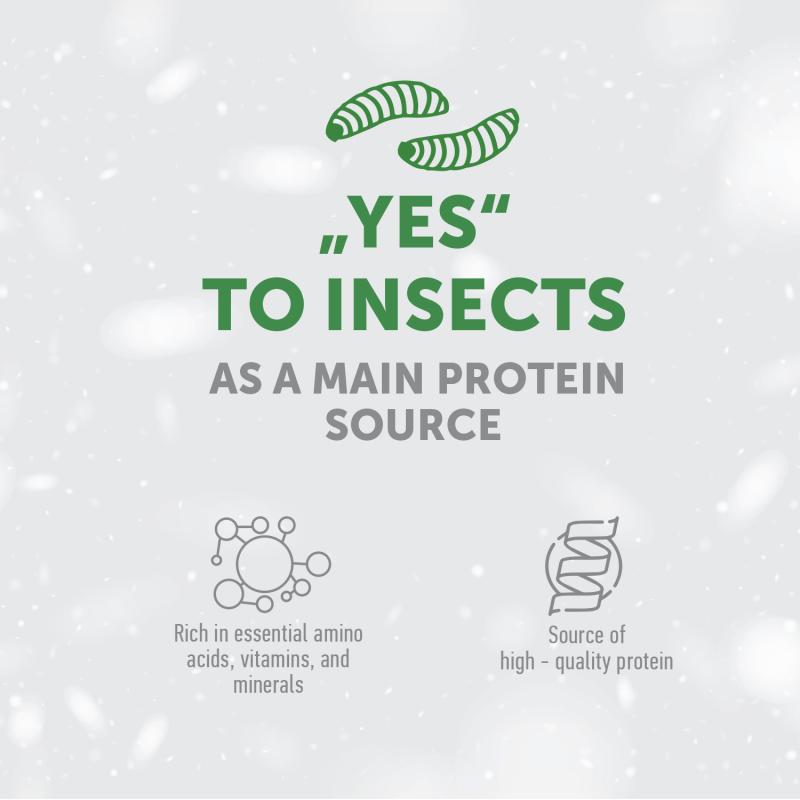 Grain-Free Complementary Dog Treats with Insect Protein for Junior Dogs – Supports Oral Care