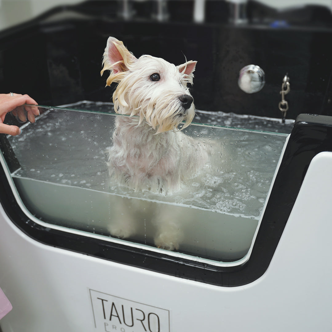 Ozone Pet SPA Bathub Ionic Technology For Various Skin Problems Treatment And Spa Procedures