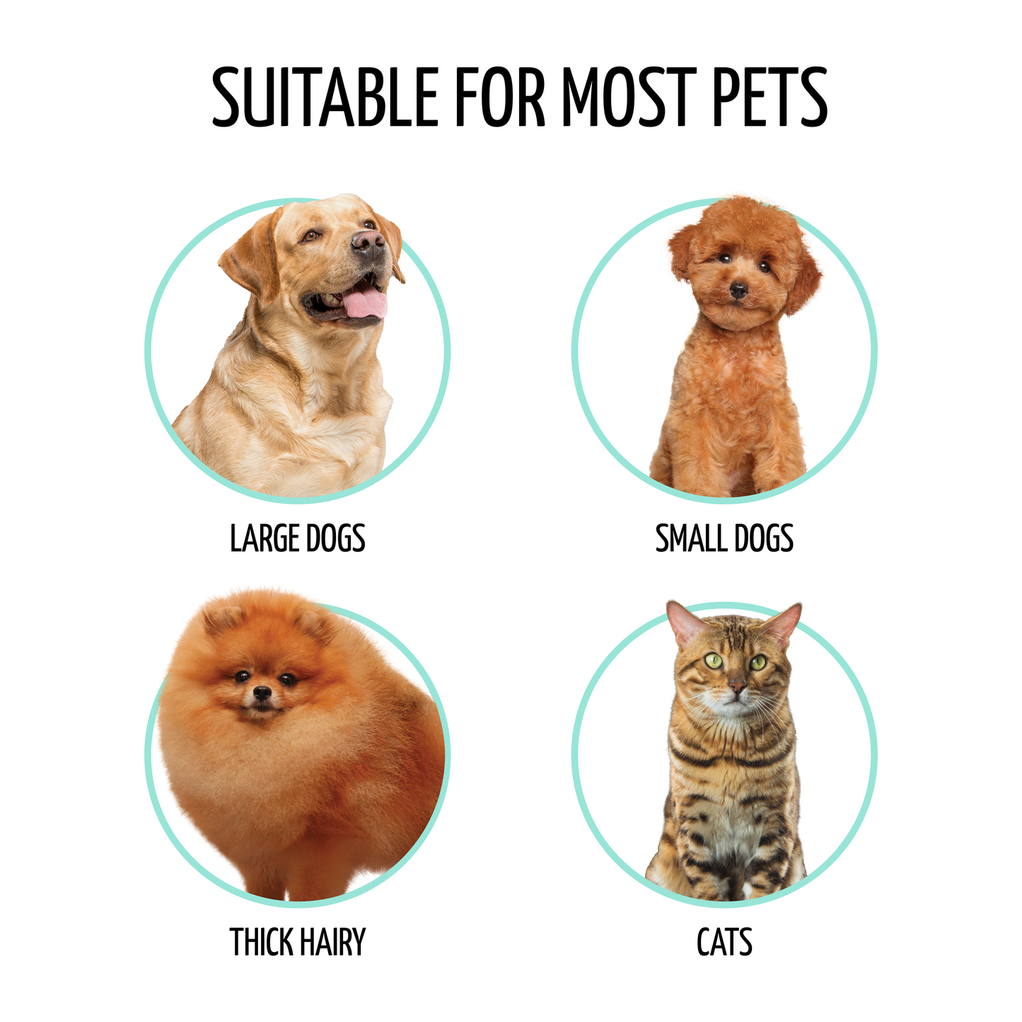 Professional Double-Tooth Pet Comb with Tail, 7.6”