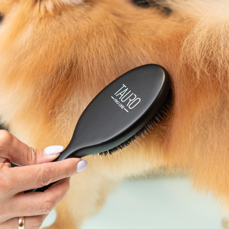 Tauro Pro Line Brush, beech wood, 0.6 in boar bristles with nylon teeth, black, oval shape