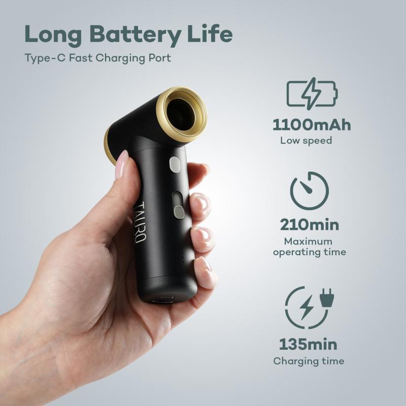 Cordless Portable Pet Coat Mini Dryer