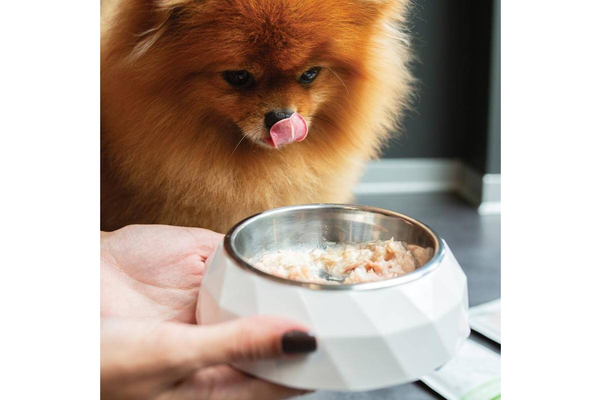 Adult Dog Wet Food for All Breed Dogs with Tuna & Rice