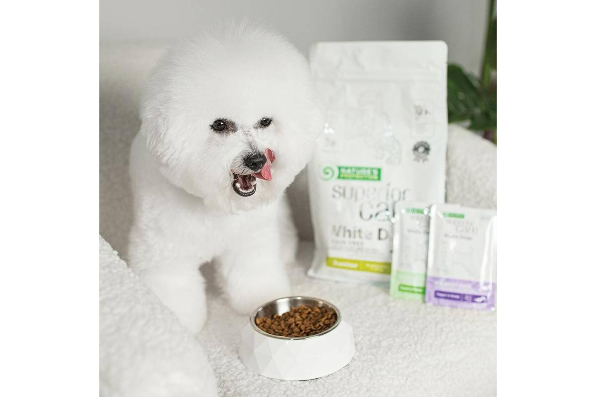 Adult Dogs Wet Food fo All Breeds with Tuna and Sea Bass