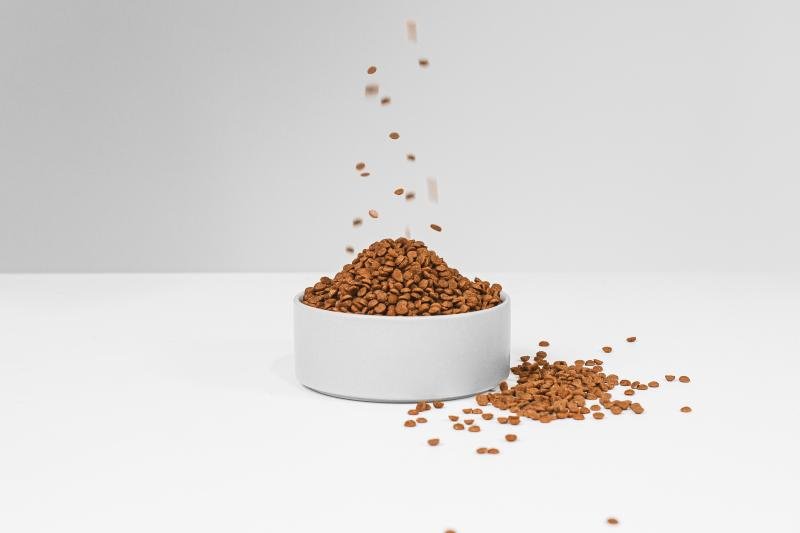 CLEARANCE All Life Stages Dog Food for Red Coat Small & Mini Breeds with Lamb - Kika USA SuperiorCare.Pet