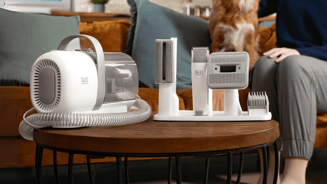 5 Pet-Friendly Home Hacks for Cleaner Floors and Less Fur - Kika USA SuperiorCare.Pet