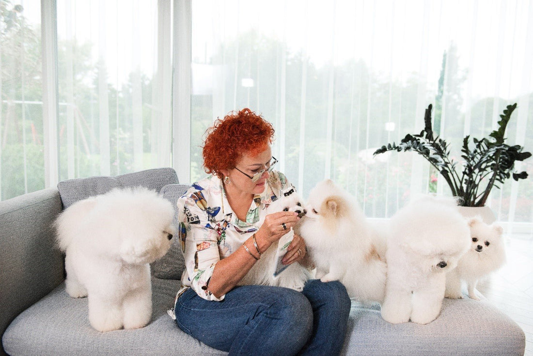 Best Dog Food For Skin And Coat Problems: What Food Is Good For Dogs Skin And Coat - Kika USA SuperiorCare.Pet