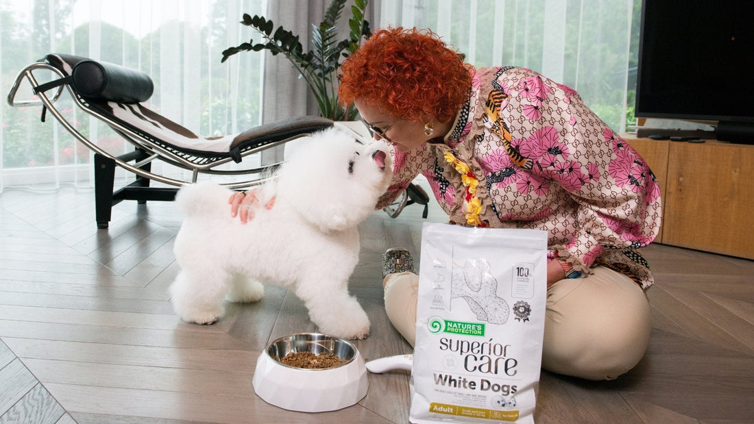 Best Dog Food For White Dogs: What Is The White Dogs Food And How Does It Work? - Kika USA SuperiorCare.Pet