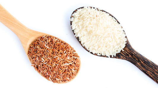 Brown Rice vs. White Rice in Pet Food — Which Is Better for Your Pet? - Kika USA SuperiorCare.Pet