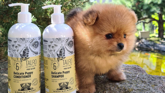 Essential Oils In Skin & Coat Care Products: Are Dogs Allergic To Essential Oils? - Kika USA SuperiorCare.Pet