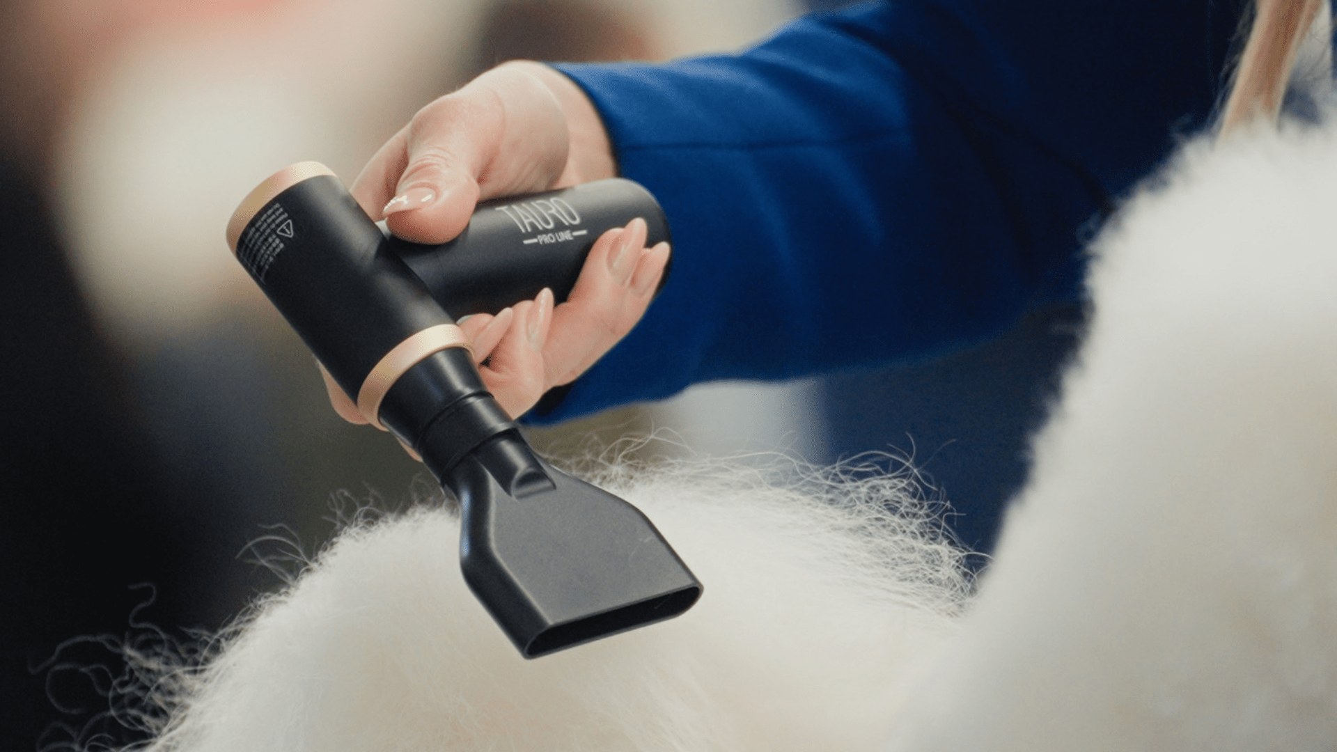 Why the Tauro Pro Line Mini Pet Dryer Is a Must-Have – Kika USA