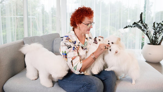 How Dog Treats Have Evolved: From Working Rewards to Modern Delicacies - Kika USA SuperiorCare.Pet