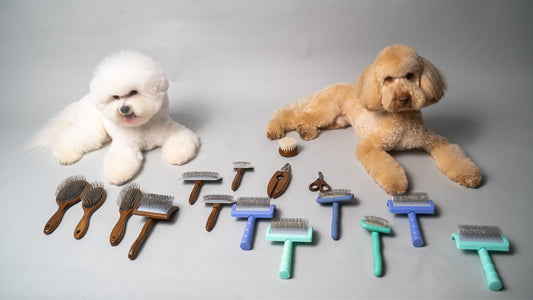 How to Choose a Brush For Dog’s Fur Care? - Kika USA SuperiorCare.Pet