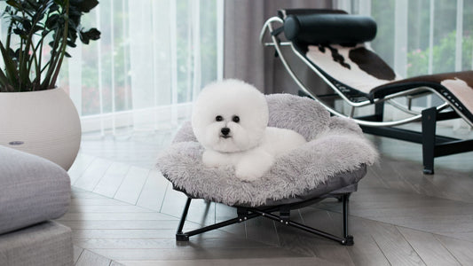 How to Clean a Dog Bed and Other Pet Supplies - Kika USA SuperiorCare.Pet