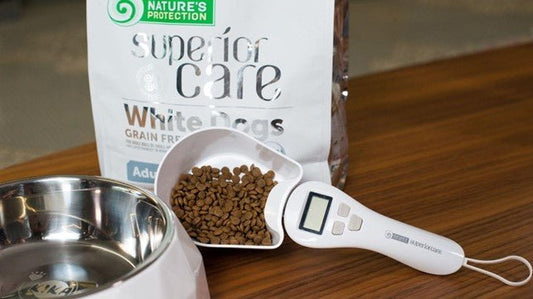 Is Norming Food Portions for Dogs Just a Myth? Exploring the Truth About Feeding Practices - Kika USA SuperiorCare.Pet