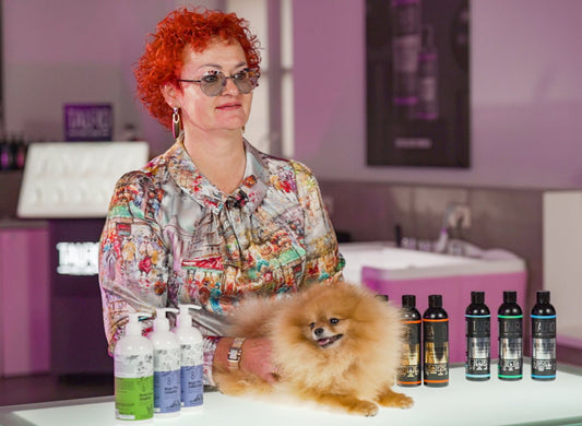 Mastering Dog Grooming: At-Home Bathing vs. Professional Salon - Kika USA SuperiorCare.Pet