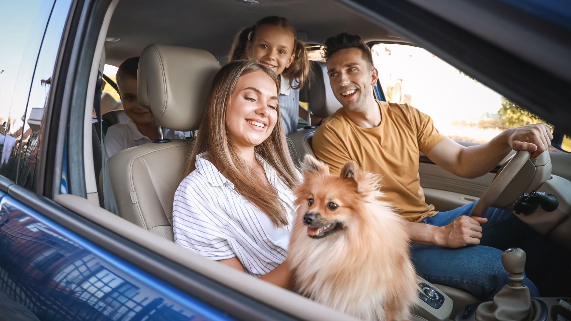 Traveling Safely and Conveniently with Your Pets: Essential Tips for Summer Adventures