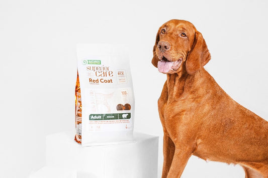 Unlocking the Power of RCE for Dogs: Understanding the Unique Formula behind the Color of Dog Fur - Kika USA SuperiorCare.Pet