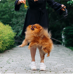 “Easy to use and effective”