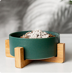 “Helped our rescue pup bounce back”