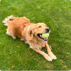 “Didn’t expect much, but it actually works”