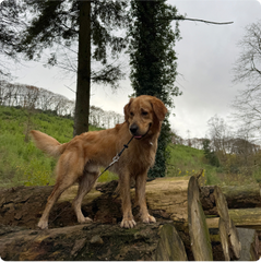 “This has become a staple for us”