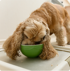 “My picky eater approved!”