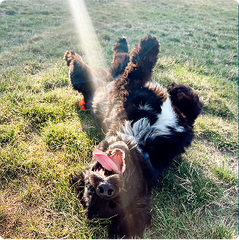 “Steady improvement, easy to use”