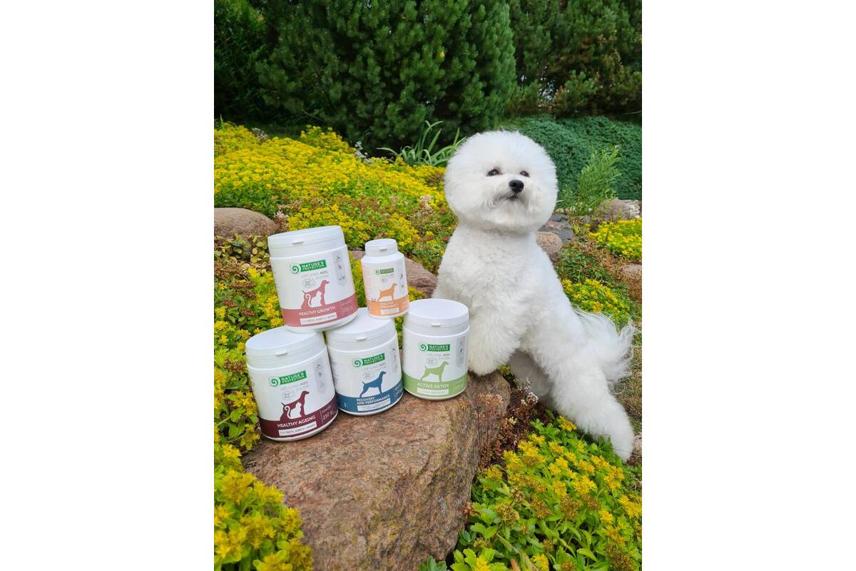 Adult Performance Mineral Supplement for Strong Bones, Muscle Recovery & Detox