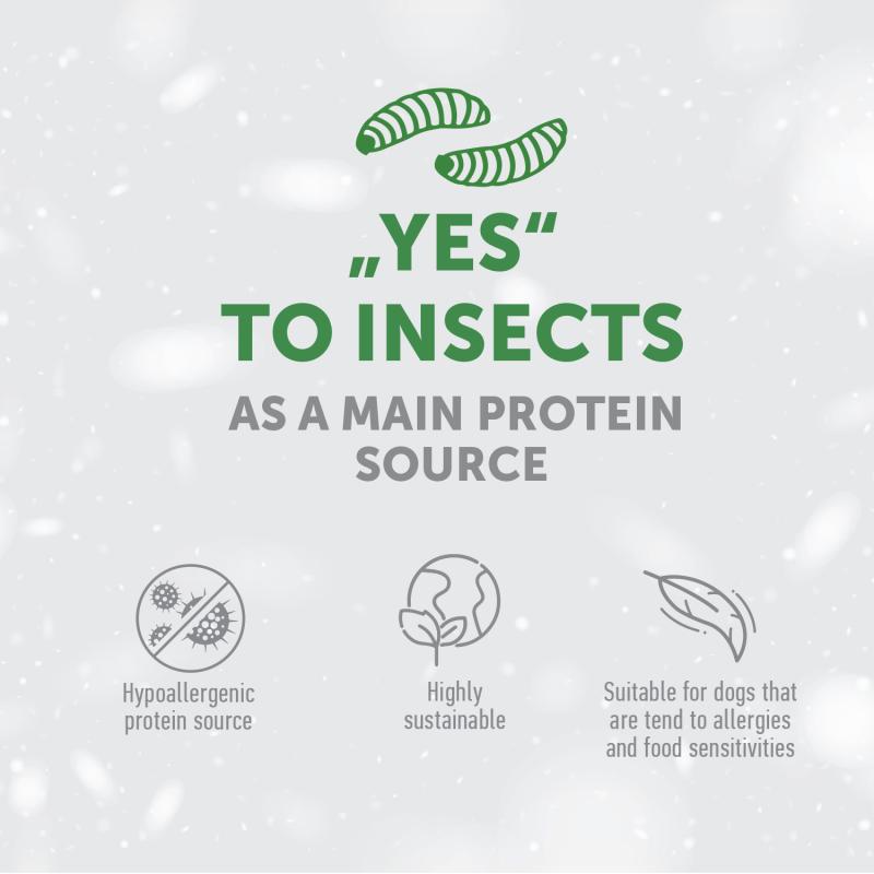 Grain-Free Insect Protein Dog Treats for Adult Dogs – Complementary Snacks to Support Daily Dental Health
