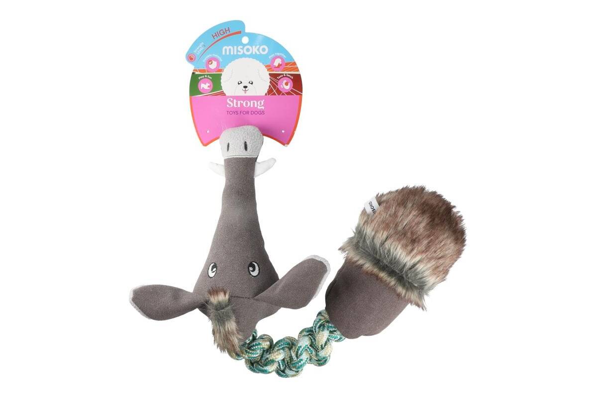 Stretchy Plush Dog Toy – Wild Boar