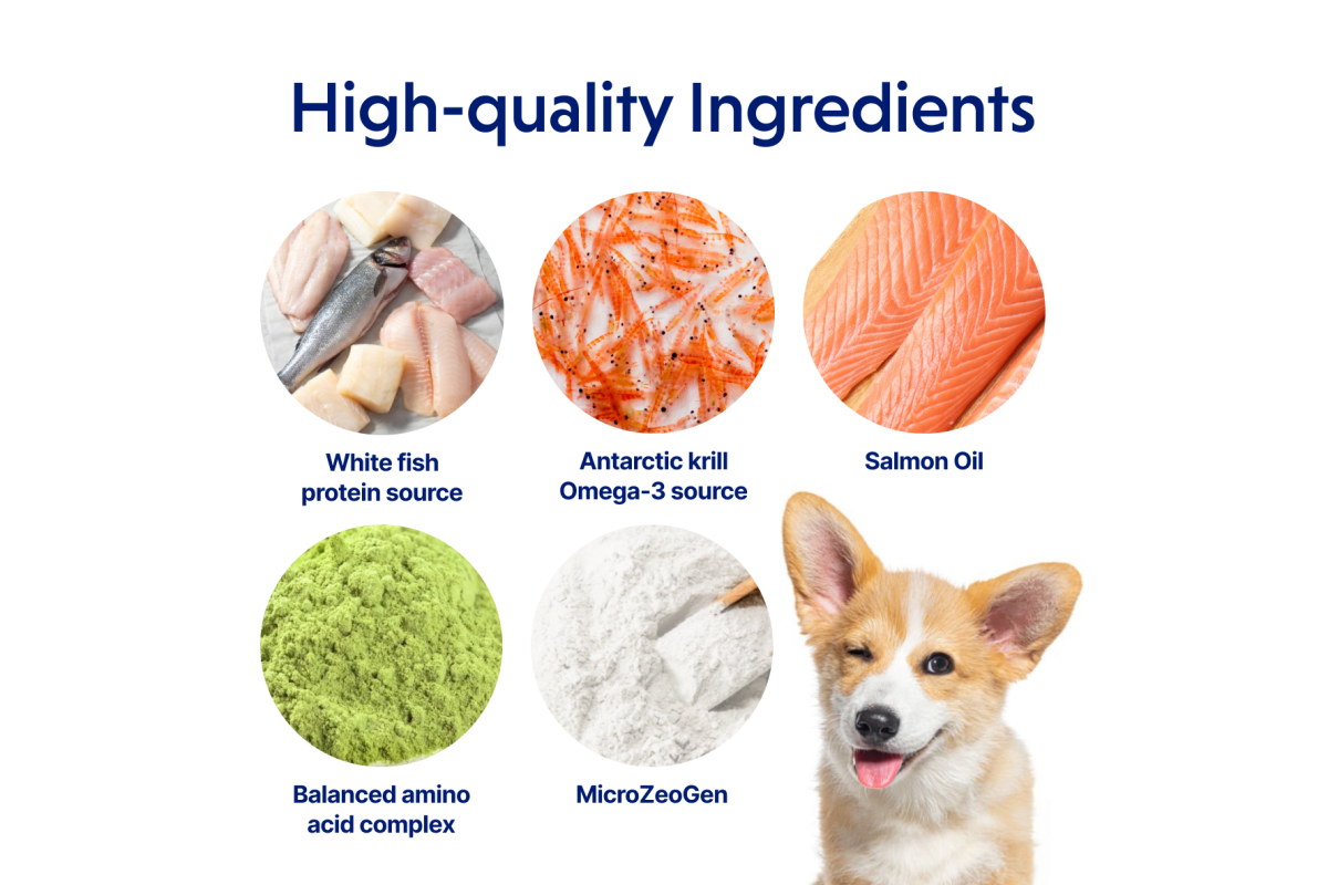 Junior Dog Food for Small & Mini Breeds with White Fish