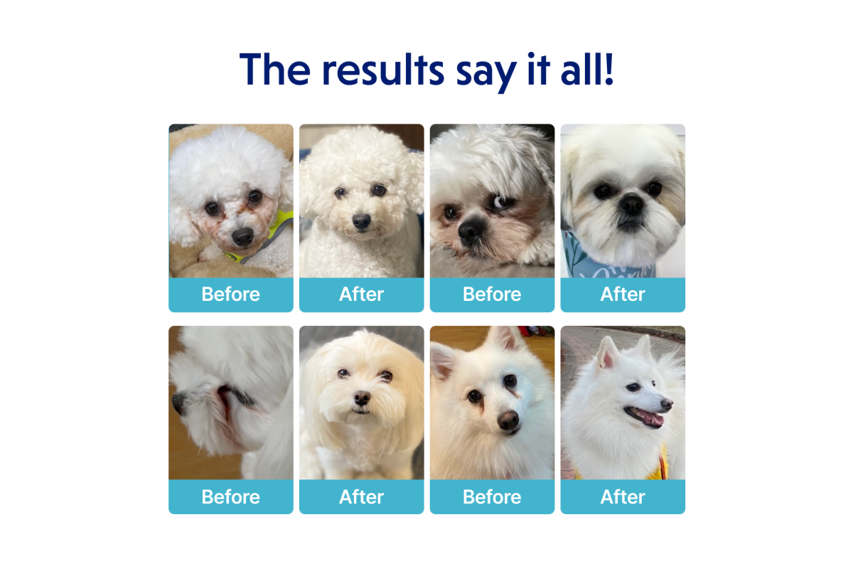 Junior Dog Food for Small & Mini Breeds with White Fish