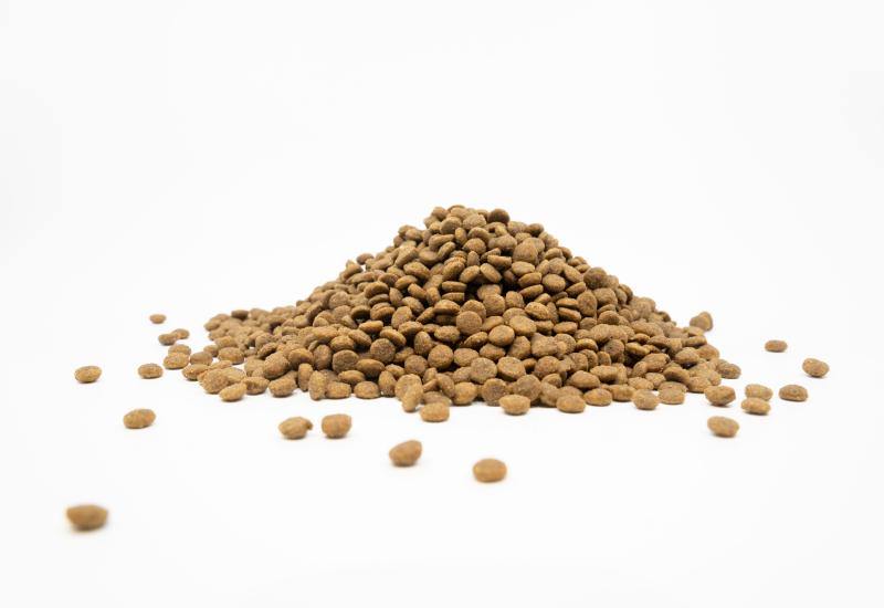 Adult Dogs Food for Light Coat Small & Mini Breeds with Lamb