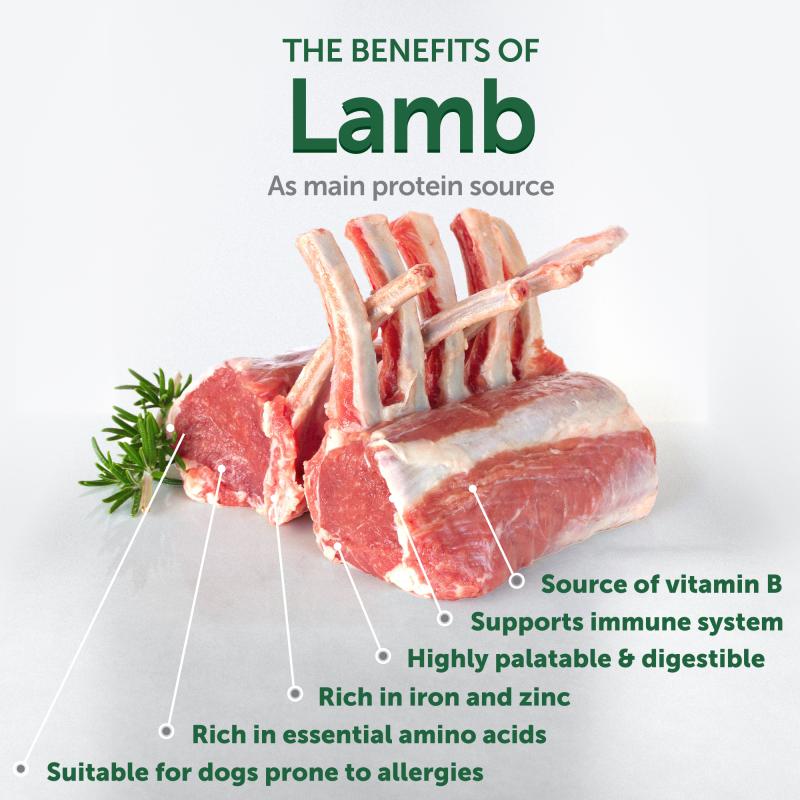 All Life Stages Dog Food for Red Coat All Breeds with Lamb