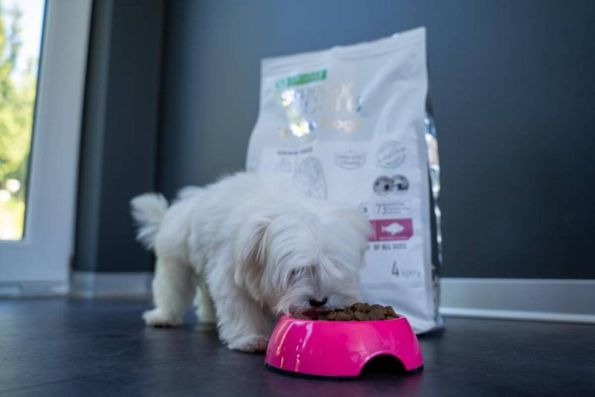 Junior Dogs Food for Light Coat All Breeds with White Fish & Rice