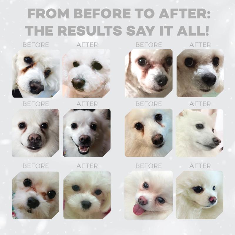 Junior Dogs Food for Light Coat All Breeds with White Fish