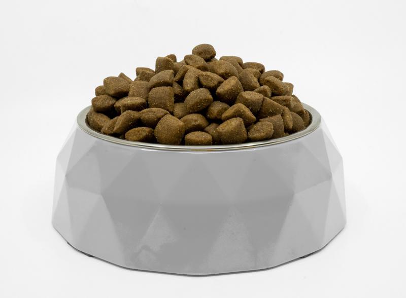 All Life Stages Dogs Food for Light Coated All Breeds with Insect & Rice