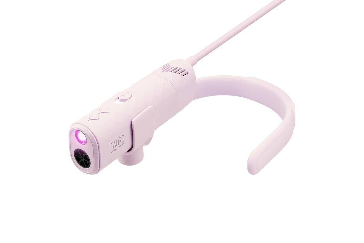 Tauro Pro Line universal pet hair dryer with a flexible neck attachment system