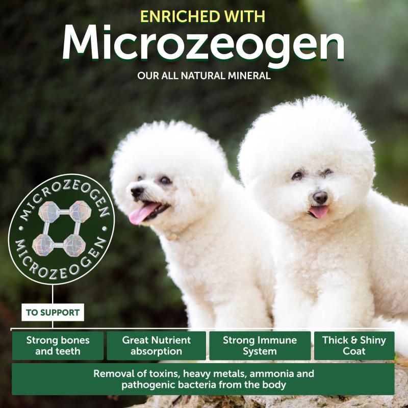 Grain-Free Insect Protein Dog Treats for Adult Dogs – Complementary Snacks to Support Daily Dental Health