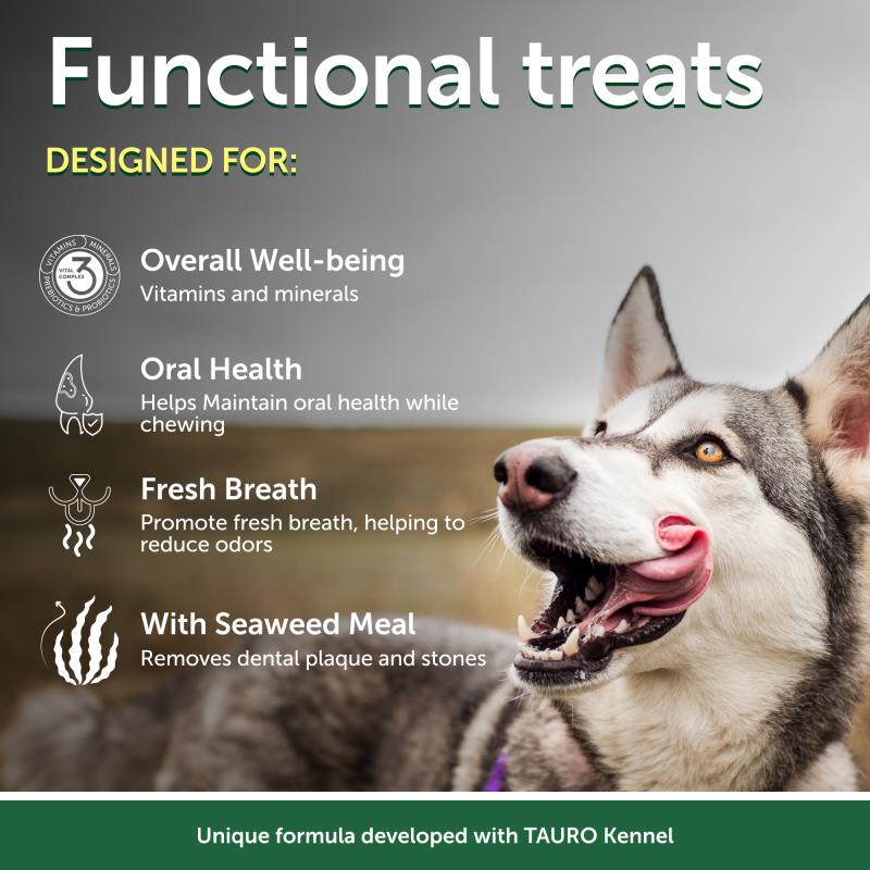Grain-Free Insect Protein Dog Treats for Adult Dogs – Complementary Snacks to Support Daily Dental Health