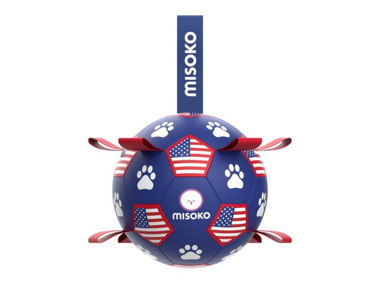 Inflatable toy for dogs