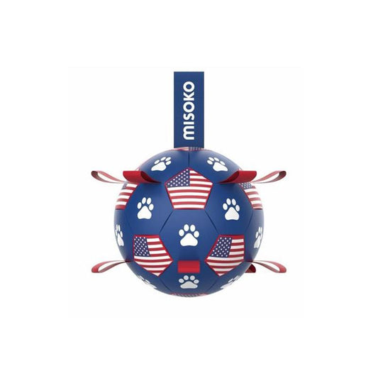 Fetch & Float Dog Ball
