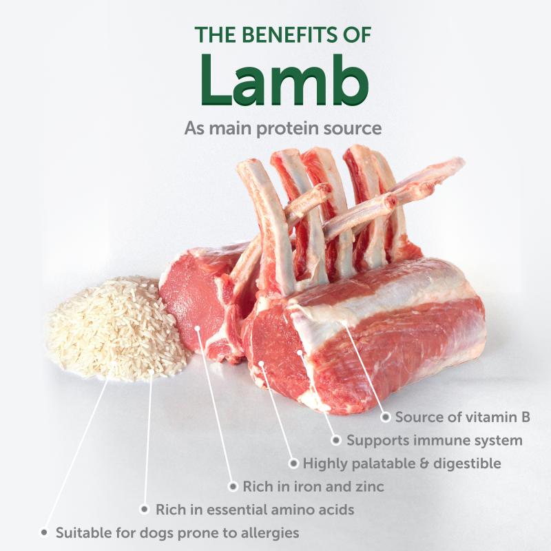 Nature's Protection Superior Care dry food for adult, small and mini breed dogs with white coat, with lamb