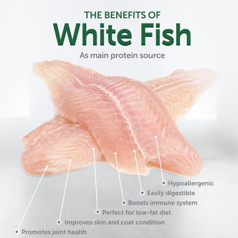 Nature's Protection Superior Care dry grain free food for junior small and mini breed dogs with white coat, with white fish
