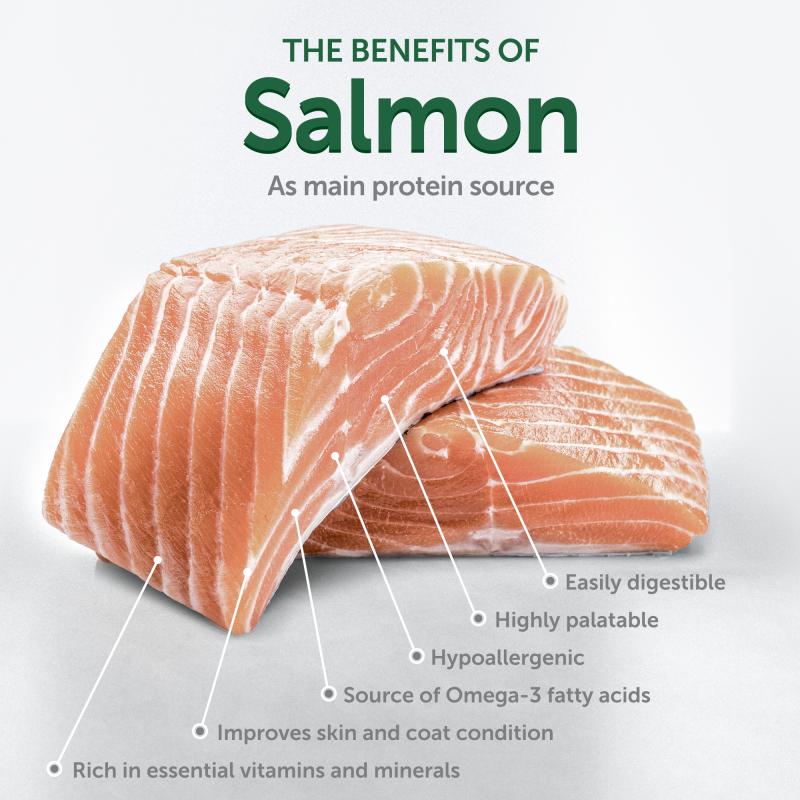 Nature's Protection Superior Care dry grain free food for adult, small and mini breed dogs with salmon