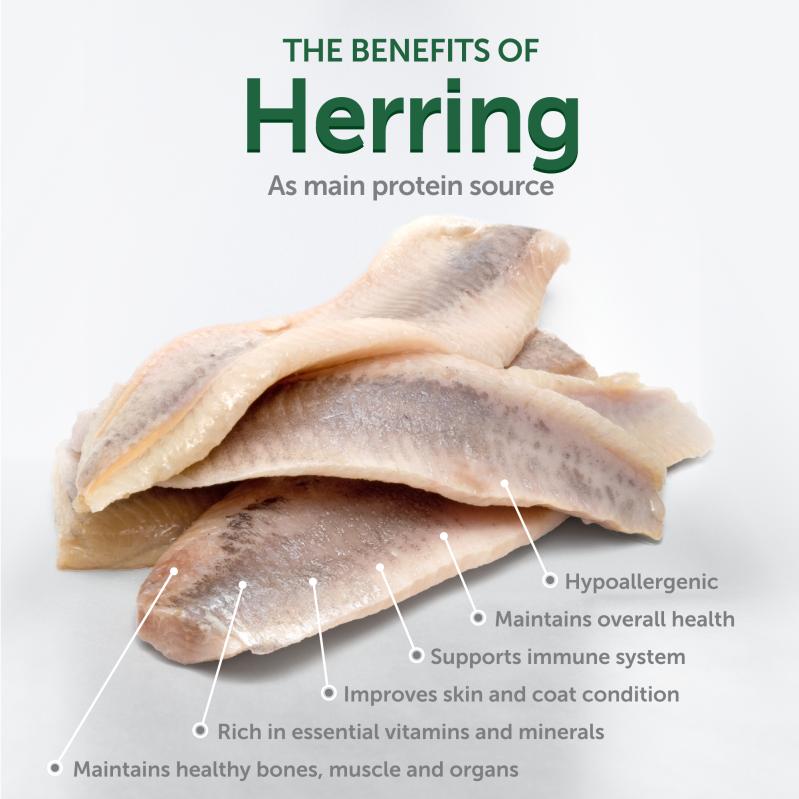 Nature's Protection Superior Care dry grain free pet food with herring for adult dogs of small breeds with white coat