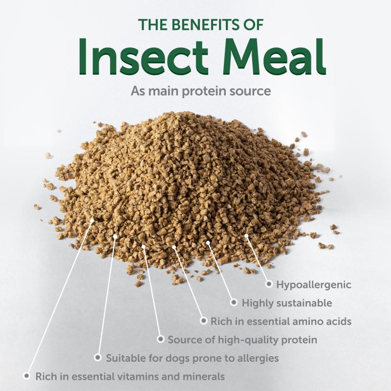 Nature's Protection Superior Care dry grain free food for adult dogs of small breeds with white coat, with insect
