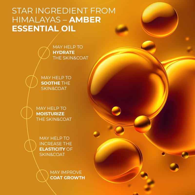 Leave-In Conditioner for Coat Growth & Recovery